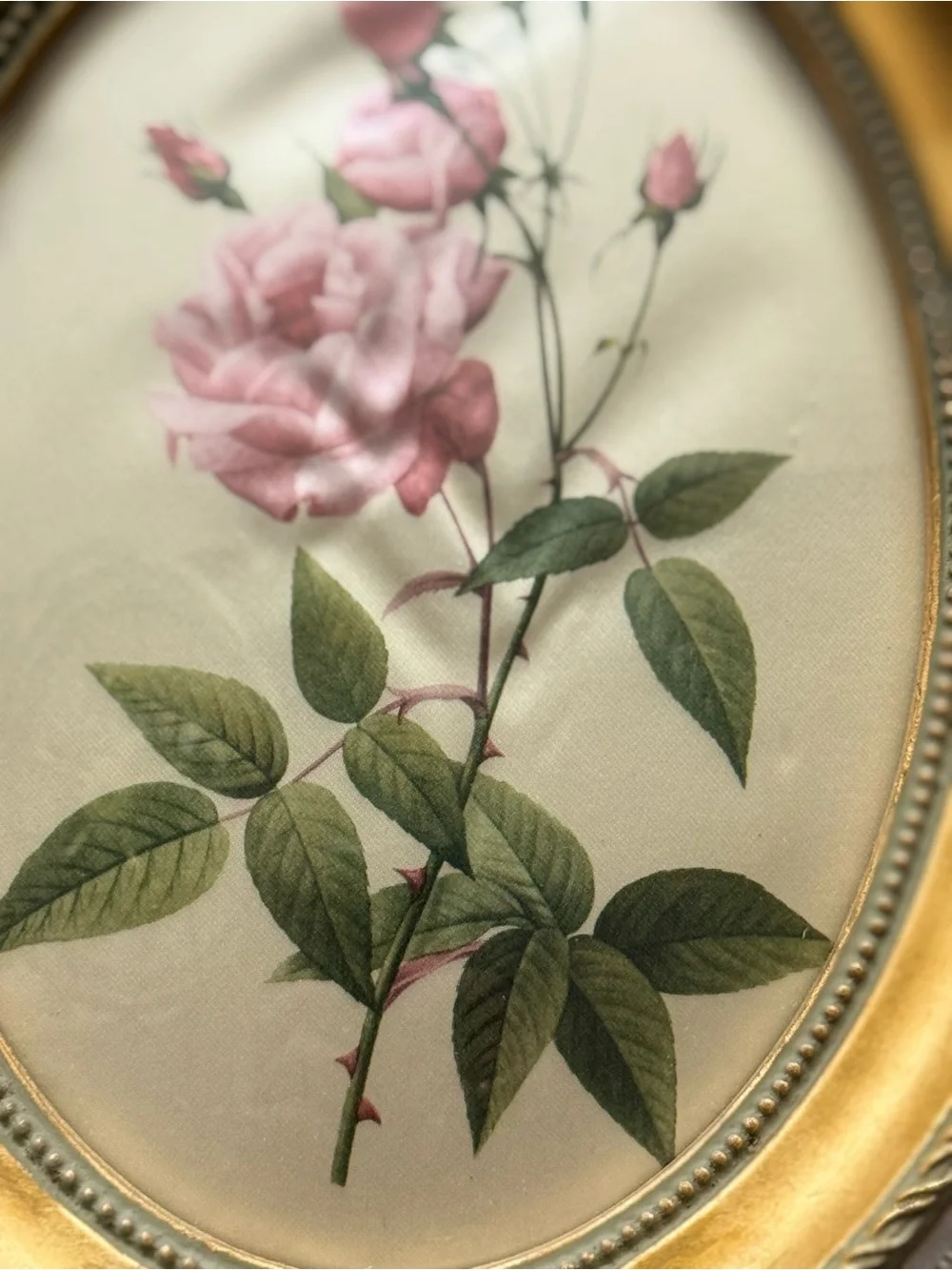 Oval Gold Framed Pink Rose Botanical Wall Art